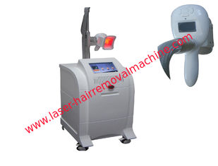 Chine Grosse machine de Cryolipolysis de liposuccion de Cryo de gel, machine de salon de liposuccion de Cryo fournisseur